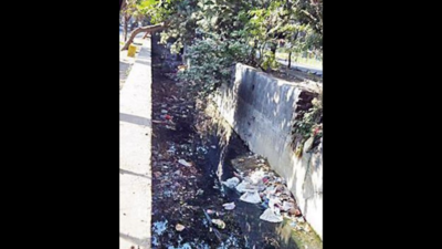 Residents of Noida's Sector 50, other parts flag open drains, seek covers
