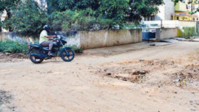 17km of earthen roads in fringe areas to get bitumen cover soon in Coimbatore