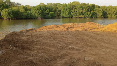 Rane cracks the whip after Merces mangrove filled for garbage site