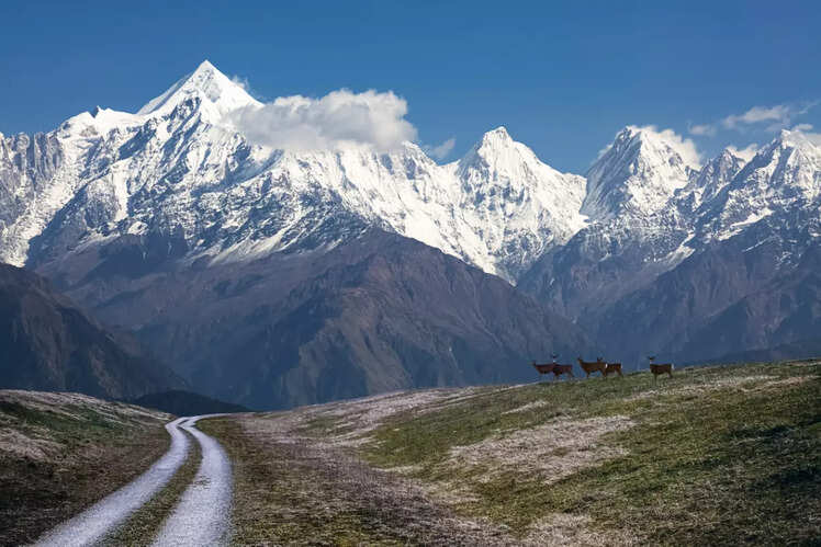 Munsiyari, Uttarakhand