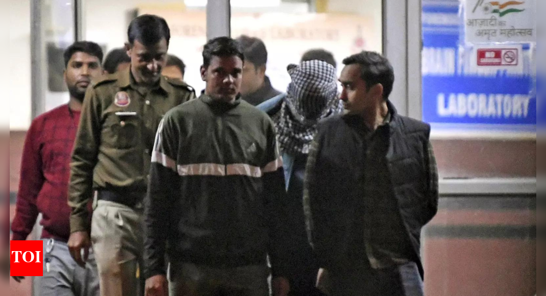 महरौली कांड: आफताब पूनावाला की आवाज का नमूना लेने के लिए पुलिस पहुंची अदालत |  दिल्ली समाचार – टाइम्स ऑफ इंडिया