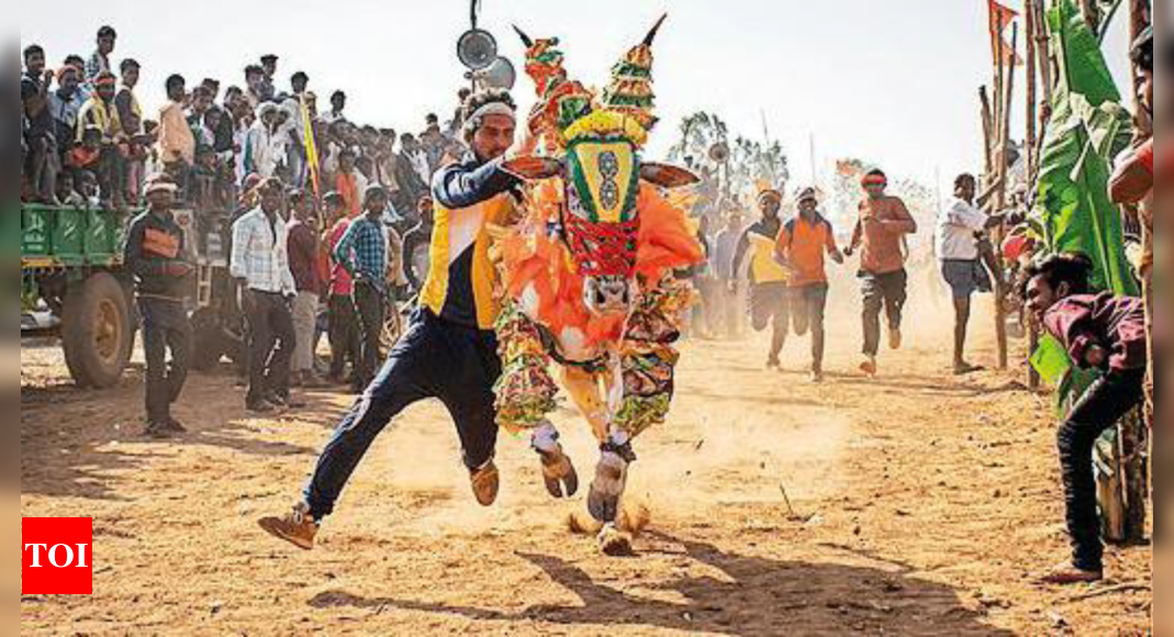 Hori Habba: Govt Permits Bull-taming Events With Conditions | Hubballi ...