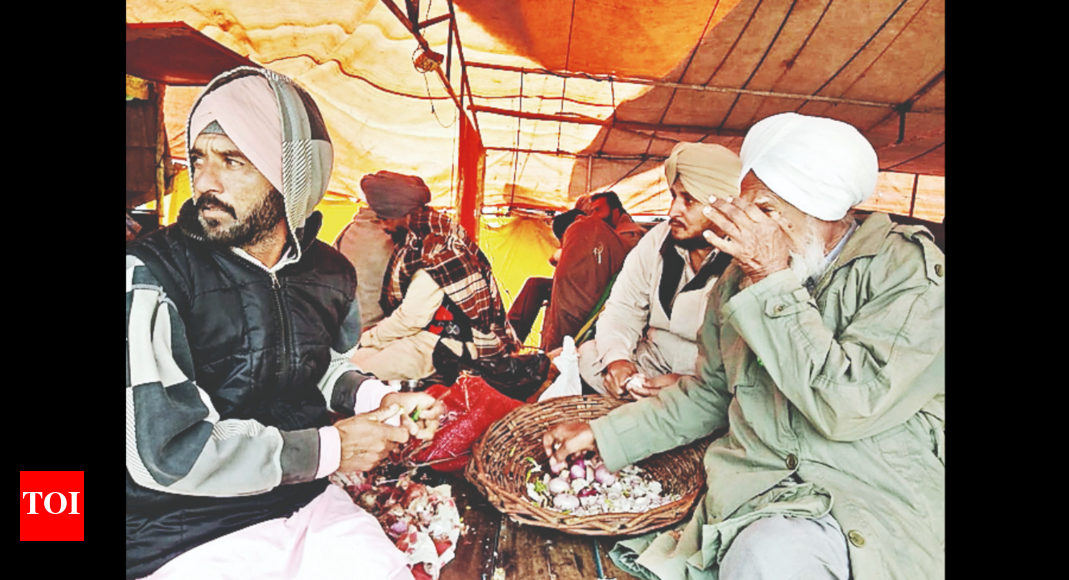 After Sweeping Majority, Aap Faced 3 Major Protests Chandigarh News