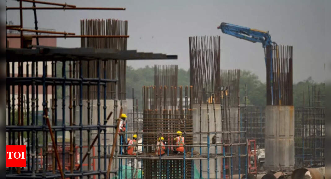 India economic growth ‘extremely fragile’, needs all support, says RBI MPC member – Times of India
