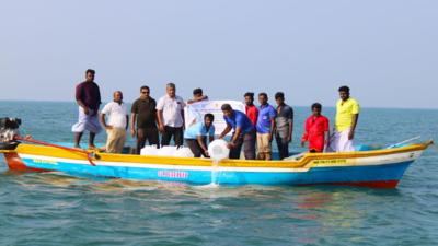 3.2 million green tiger shrimps released into Gulf of Mannar