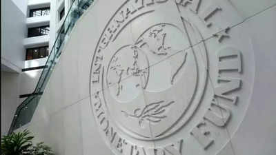 More rate hikes must be carefully calibrated: IMF
