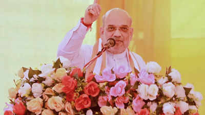 Govt dedicated to welfare of kisans and jawans: Shah