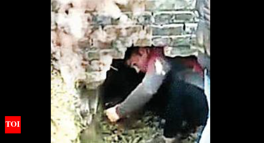 कानपुर के बैंक में ‘ओशन्स टेन’ की हड़ताल, 1.8 किलो सोना लेकर भागे |  कानपुर समाचार – टाइम्स ऑफ इंडिया