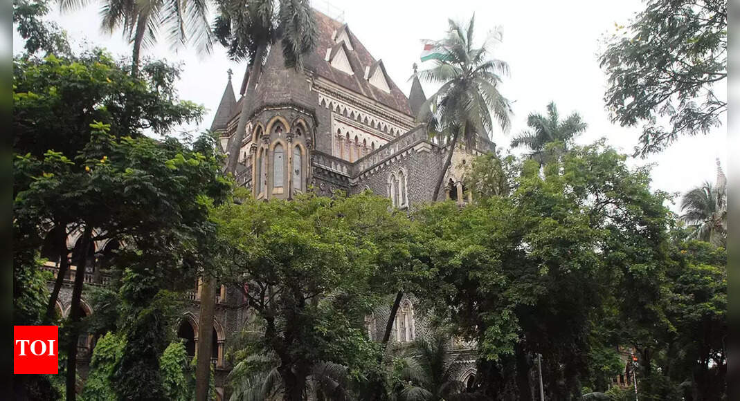 बॉम्बे एचसी ने 2018 की प्राथमिकी रद्द की, सैटेलाइट फोन ले जाने के लिए ब्रिटिश नागरिक के खिलाफ कार्यवाही |  मुंबई समाचार – टाइम्स ऑफ इंडिया