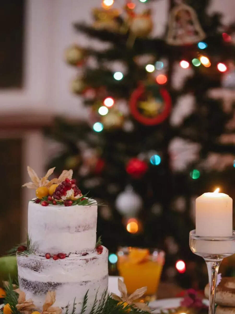 Traditional Christmas Cakes from around the world Times Now
