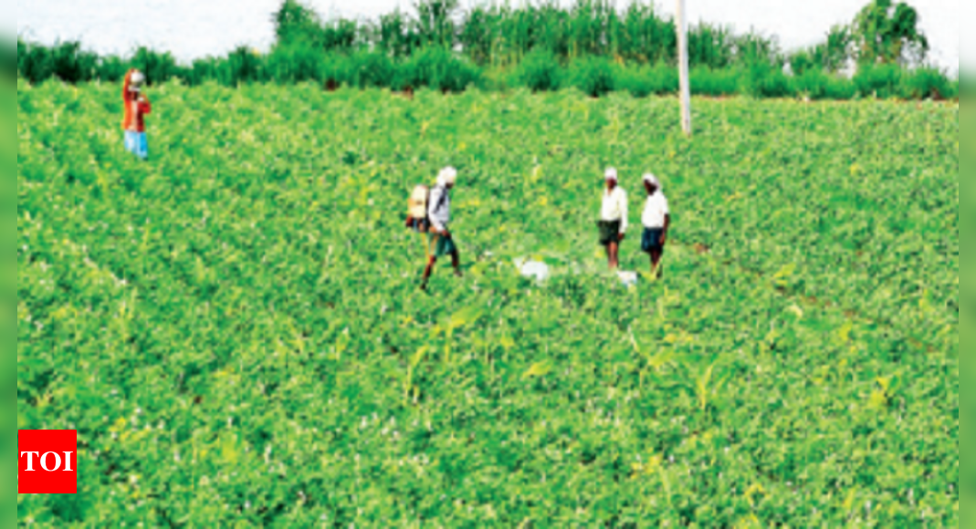 bcs-44-agricultural-land-in-telangana-now-owned-by-bcs-survey