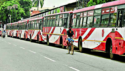 City circular service revenue goes up by 150% in 11 months