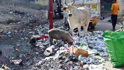 Swachh-ready? 2 NGOs are set to help GNIDA keep Greater Noida clean