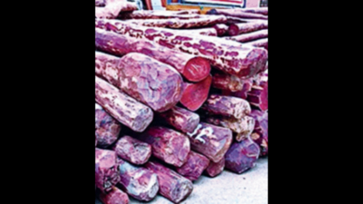 73 smugglers held, red sanders worth Rs 50 crore seized this year: Andhra Pradesh task force