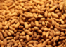 Do peanuts contribute to weight gain?