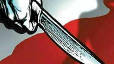 Factory owner, his father and uncle stabbed to death by two migrant workers in Surat
