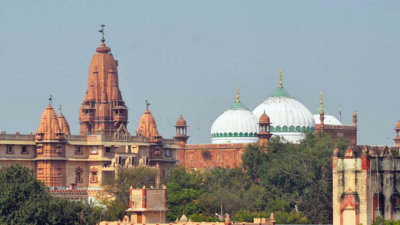 Mathura: Counsel for Shahi Masjid Idgah says they will file objection to survey order