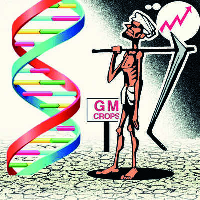 Experts, activists hit out at Indian Council for Agricultural Research for ‘gag order’ on genetically modified mustard