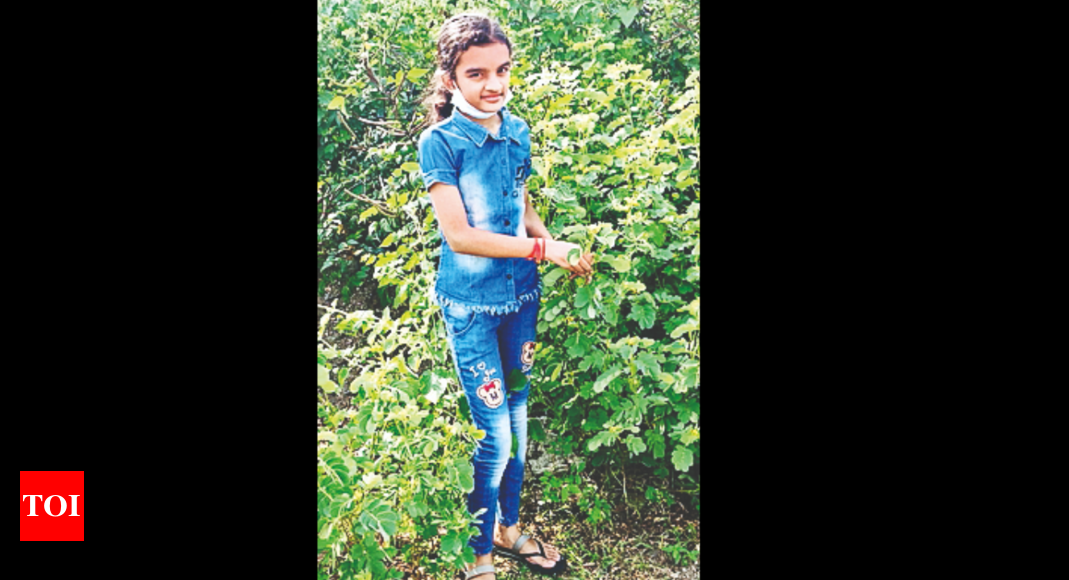 14 साल के बच्चे को मिला हर्बल हैंडवॉश का पेटेंट |  अहमदाबाद समाचार – टाइम्स ऑफ इंडिया