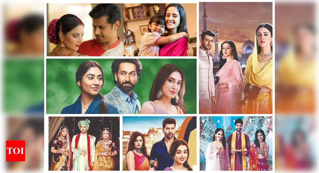 Pati, Patni Aur Woh ruled television in 2022! Currently at least 18 TV  shows have love triangle as the theme - Times of India