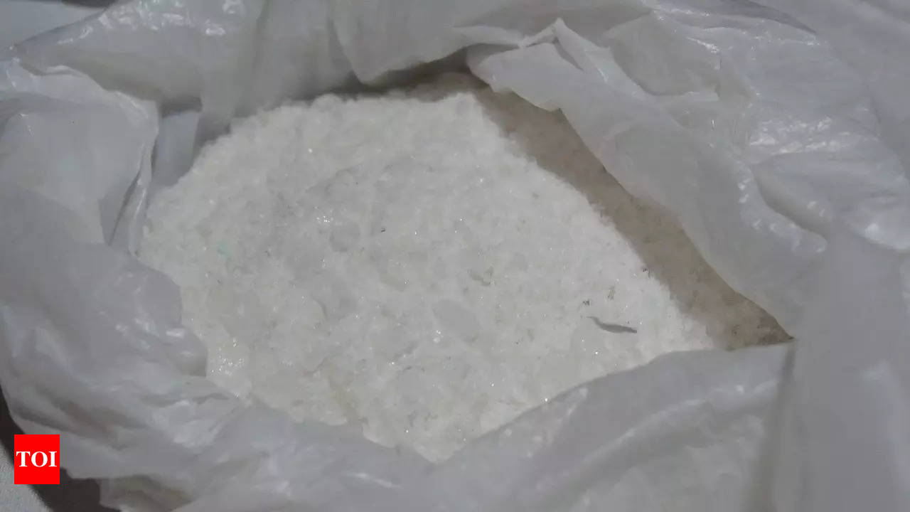 Bolivia announces biggest-ever cocaine bust at nearly 9 tons