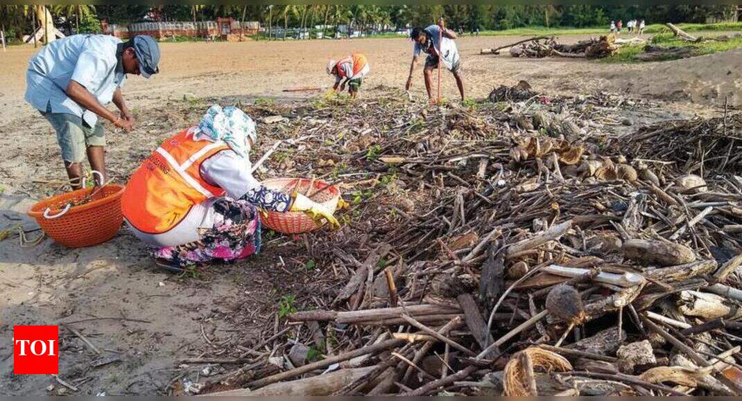 ‘P’yats should be involved in keeping beaches clean’ | Goa News - Times ...