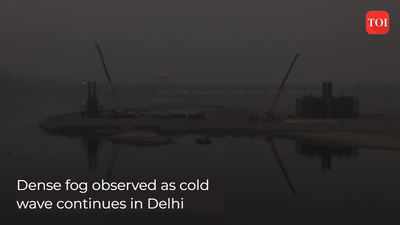 Dense fog observed as cold wave continues in Delhi