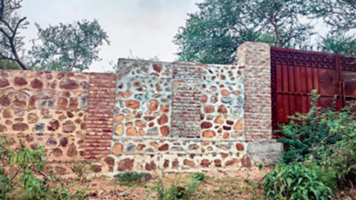 Now, a panel to monitor demolitions in Aravalis