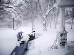 Winter Weather New York