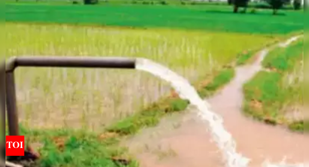 पानी की कमी से जूझ रहे नूंह के खेतों की सिंचाई के लिए शहर से पाइप |  गुड़गांव समाचार – टाइम्स ऑफ इंडिया