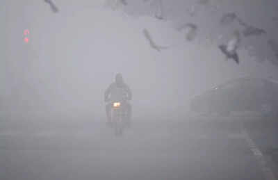 Cold wave and fog hit flights, train services in north India: Key points
