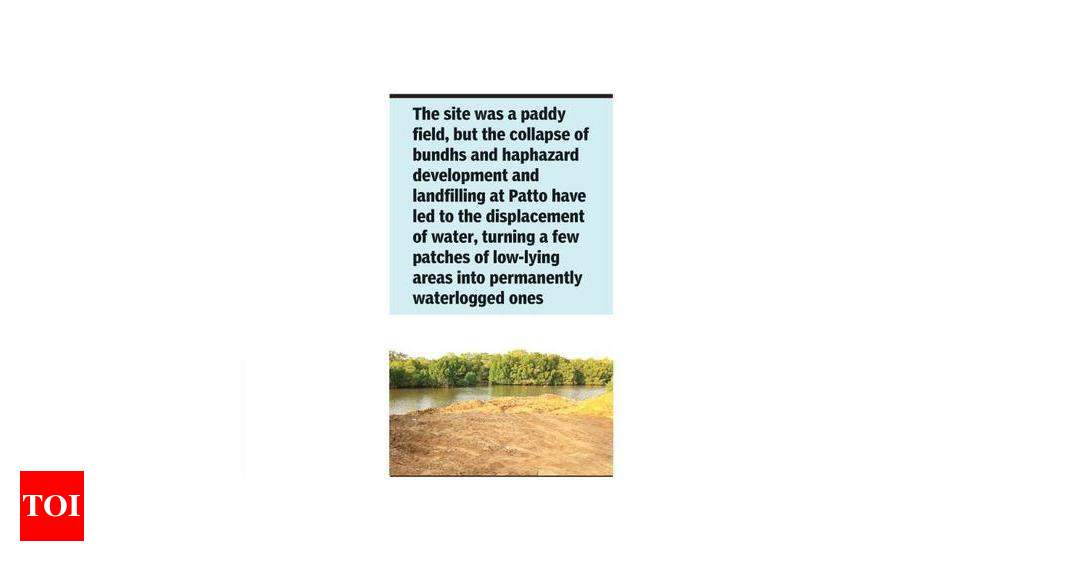 मर्स भूमि भरण का निरीक्षण किया, स्थानीय निकाय ने किया विध्वंस |  गोवा समाचार – टाइम्स ऑफ इंडिया