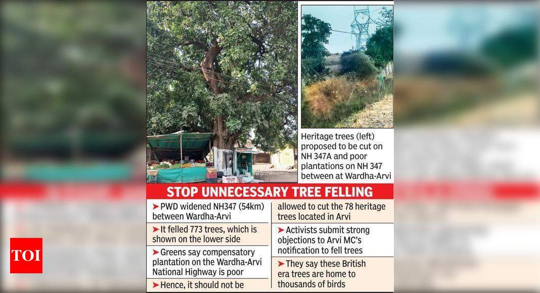अरवी में 78 हेरिटेज पेड़ काटने पर ग्रीन्स को आपत्ति  नागपुर समाचार – टाइम्स ऑफ इंडिया