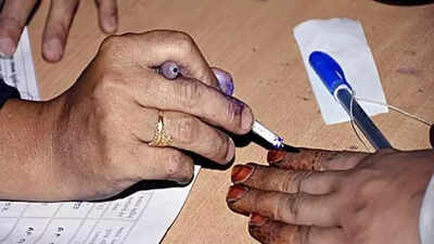 Election Commission introduces 'remote voting' for migrant workers