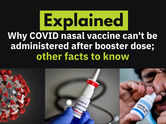 Explained: Why COVID nasal vaccine can't be administered after booster dose other facts to know
