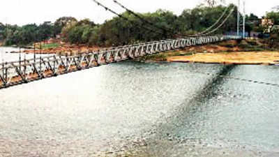 Odisha govt seeks IWAI approval for concrete bridge to Cuttack shrine