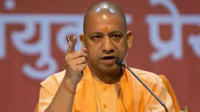 Local body polls: UP govt moves SC against Allahabad HC order on OBC reservation