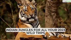 Best of Indian jungles for 2023!