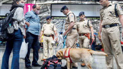 Ahead of new year revelry, 297 held in all-out combing op in Mumbai, Thane
