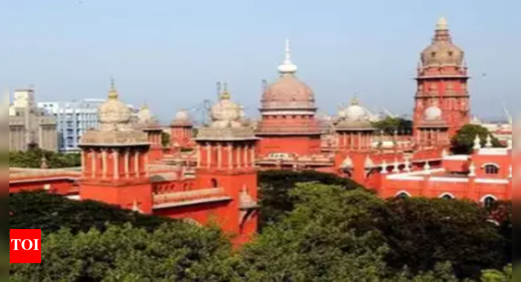 गुजारा भत्ता देने वाले व्यक्ति के लिए पत्नी की आय कोई बाधा नहीं, मद्रास उच्च न्यायालय का कहना है |  चेन्नई समाचार – टाइम्स ऑफ इंडिया