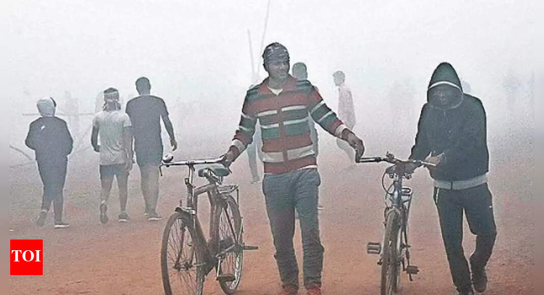 मौसम में बदलाव की संभावना नहीं, बिहार में सबौर सबसे ठंडा स्थान |  पटना समाचार – टाइम्स ऑफ इंडिया