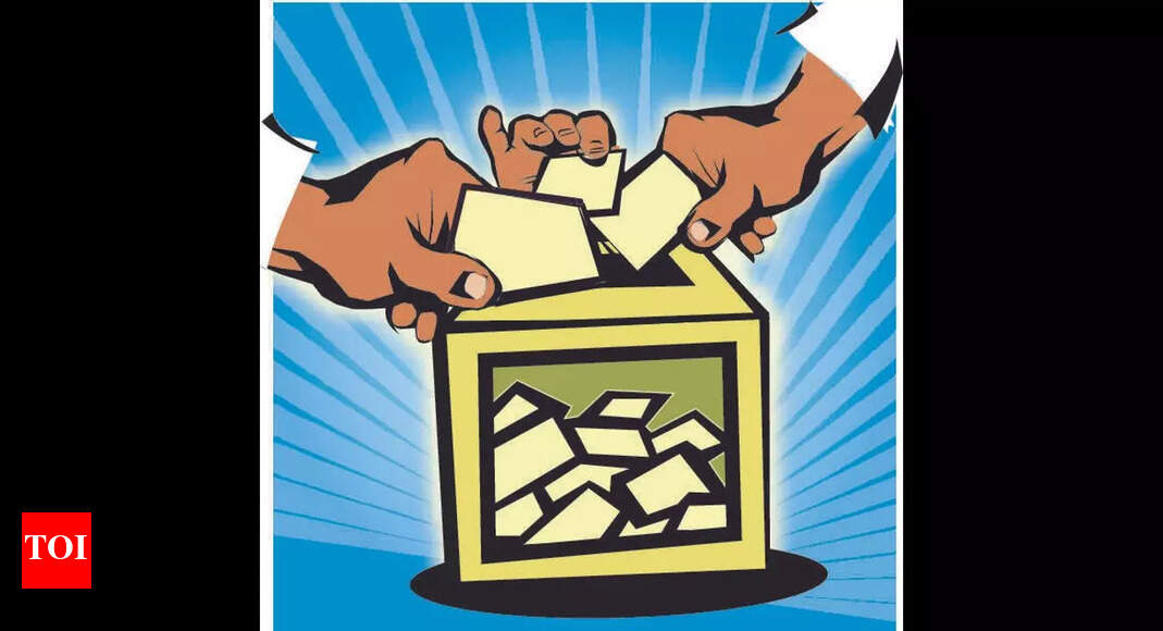 वोटर लिस्ट फ्रॉड में शामिल लोगों को होगी जेल: केबुरगी डीसी |  हुबली न्यूज – टाइम्स ऑफ इंडिया