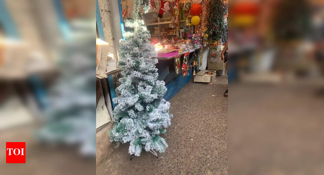 Markets cheerful as Xmas tree sales rise Events Movie News Times of