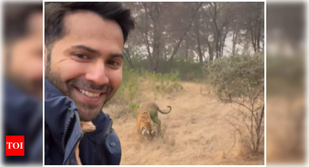 Varun Dhawan shares a glimpse of his WILD New Year’s getaway with wife Natasha Dalal- Watch – Times of India