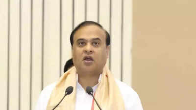 Assam remerges four districts ahead of EC ban to expedite delimitation exercise