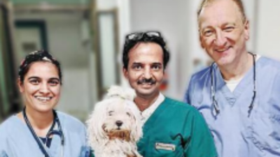 Doctor flies down from Germany to Mumbai to help with dog's open heart surgery