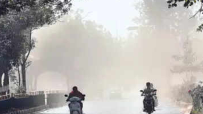 Cooler days, warmer nights in Chennai ahead: IMD