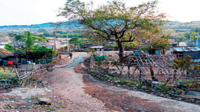 Not just Karnataka, Maharashtra border with Telangana fuzzy too