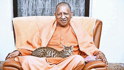 On Last Day Of 22 Uttar Pradesh Cm Yogi Adityanath Tops Twitter Trend Lucknow News Times Of India