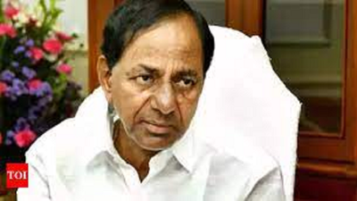 Journey towards ‘bangaru Telangana’ will continue: BRS government
